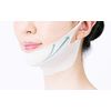 Christian Dia Face Mask Sheet Pack of 7