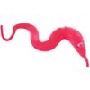 Die Spiegelburg - Magischer Wurm - Bunte Geschenke, Sortiert