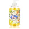 NESTI DANTE Dolce Vivere Capri Sapone Liquido 500 ml
