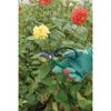 Draper 18299 Twin Pack of Garden Scissors
