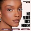 Huda Blush Filter Liquid Blush - Coco Loco - (medium to rich) - 0.15 fl oz / 4.5 mL