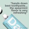 DAVIDS American Made Natural Toothpaste Spearmint (Parallel Import)