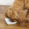 Dot Wan Cheese Cube 0.7 oz (20 g) Dog Food