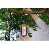 Bee Trap Device for Bees (1 Piece)