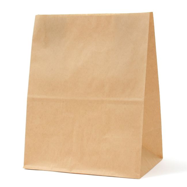 Pack Takeyama XZT00399 Paper Bags, Gusset, Square Bottom Bags, H300, Unbleached, 100 Sheets