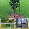KINGLAKE 2 Pcs 90x3.5 cm Heavy Duty Tree Ties Adjustable Tree Traps for Support Tree Shrub