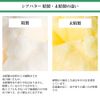 PROST 未精製シアバター 100g