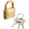 Alpha 1000-25 Key Lock Padlock, Silver, Standard Type