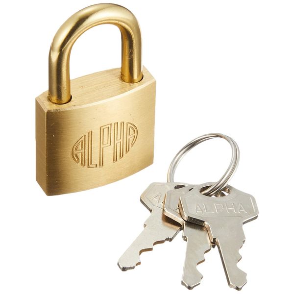Alpha 1000-25 Key Lock Padlock, Silver, Standard Type