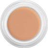 KRYOLAN DERMACOLOR CAMOUFLAGE CREME CREAM D4W 4G