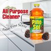 2 All Purpose Cleaners Multi Surface for Floors Original Pine
