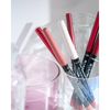 Catrice Plumping Lip Liner 040 Starring Roll