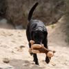 Petface Planet Carmel The Camel Plush Dog Toy