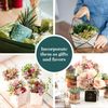 10 Pack Assorted Mini Succulent Plants Perfect Wedding Favors Home Decor