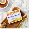 Boiron Oscillococcinum for Relief from Flu-Like Symptoms of Body Aches, Headache, Fever, Chills, and Fatigue - 12 Count