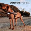 Ezydog Convert Harness, L, Burgundy