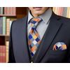 Shlax&Wing Multicolor Checks Necktie Wedding Ties For Men Silk 57.5"
