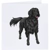 'Flat-coated Retriever' Blank Greeting Card (GC00035510)
