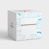 Replacement for OSRAM Sylvania MCP100PAR38/U/830/FL/ECOPB by Technical Precision is Compatible with OSRAM Sylvania