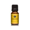 P&J Trading Fragrance Oil | Pineapple Oil 10ml - Candle Scents for Candle Making, Freshie Scents, Soap Making Supplies, Diffuser Oil Scents