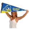 College Flags & Banners Co. Delaware Pennant Full Size Felt