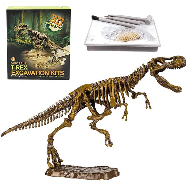 UTST Dinosaur Fossil Excavation Toy Dinosaur Dinosaur Bone (T. rex)