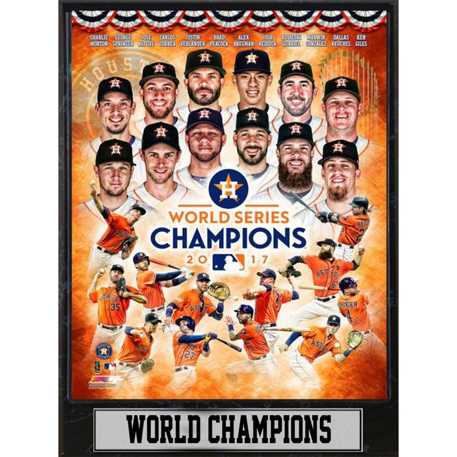 MLB Houston Astros Plaque, Black, 9x12