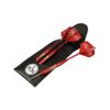 1. FC Nürnberg Steel dart set, red