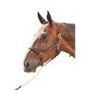 John Whitaker Ready to Ride Headcollar Brown Full