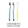 CMY Select Teeth Model, Teeth Model, Teeth Model, Large Model, Stepless, Opening/Closing Toothbrush Set