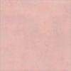 Water-Based Concrete Stain Walttools 1 QUART Pro-Grade Eco-Friendly (Dusty Rose)