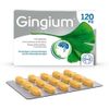Gingium® 120 mg | Pack of 30 | Act Early for Forgetfulness* | With Plant Power | For Tinnitus** | Improves Memory and Concentration*
