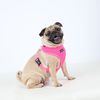 Puppia Neon Dog Harness, Small, Green