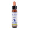 Healing Herbs/Flower Essence [Heather]