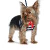 DOGO 100 Dogo EasyGo Sailor Harness - Red - Medium