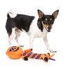 Fuzzyard Gourdan Ramsay Rope Buddy Dog Toy with Pumpkin Head