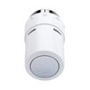 RAX, Thermostatic Sensor, RA, Liquid, Sensor Type: Built-in, Combi - Chrome/White