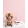 Dog Pet Feeder Automatic Drinking Water Corner Cat Large Bowl Double Dispenser