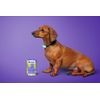 FÜRREE Joint Support Collagen Complex Plus for Dogs - 100 g