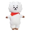 AURORA BT21 Official Merchandise, RJ Soft Toy, Small, White