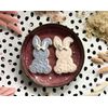 LissieLou Easter Rabbit Cookie Cutter and Embosser Easter Icing Stamp Fondant Embosser - Light Pink/Clear
