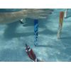 Water Sports Dive Sticks