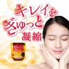 orihiro Dense kora-genpurasenta G