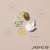 Joico InnerJoi Strengthen Conditioner 10.1 oz