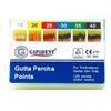 Gutta Percha Points K Flexi 15-40 (120 Points)