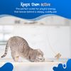 Cat Dancer Products CATD0101D Small Breeds Cat Toy