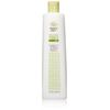 Trader Joe's Tea Tree Tingle Conditioner with Peppermint and Eucalyptus (2 Pack)