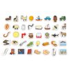 Junior Learning JL650 Vowel Objects Magnetic Resource, Multicolor