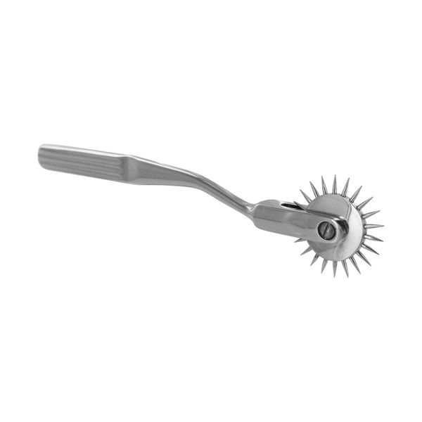 Lynx Wartenburg Wheel