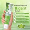 6x D.Dent herbal toothpaste Peppermint Formula fluoride suppress bad breath 100g